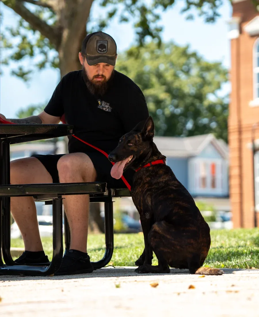 Dog trainer working with a dog outdoors